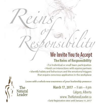 The Reins of Responsibility March 17
