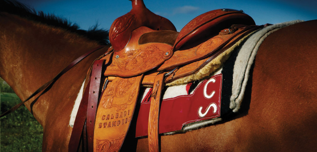 AllisonWright Calgary Stampede